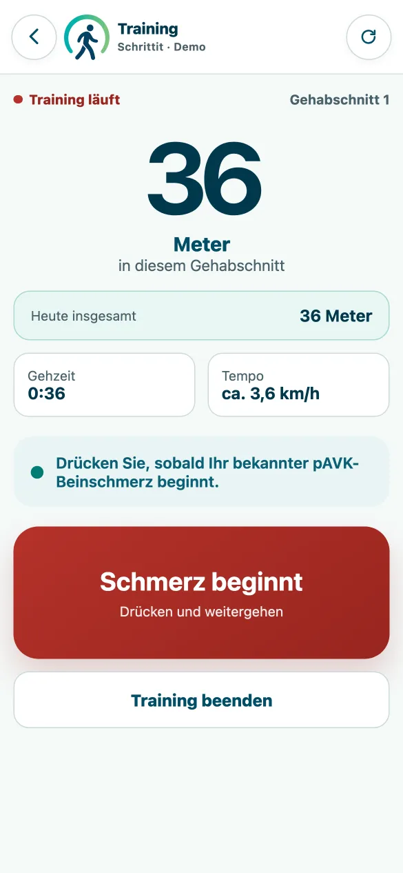 Laufender Gehabschnitt mit Meterzähler und großer Schmerz-Schaltfläche.
